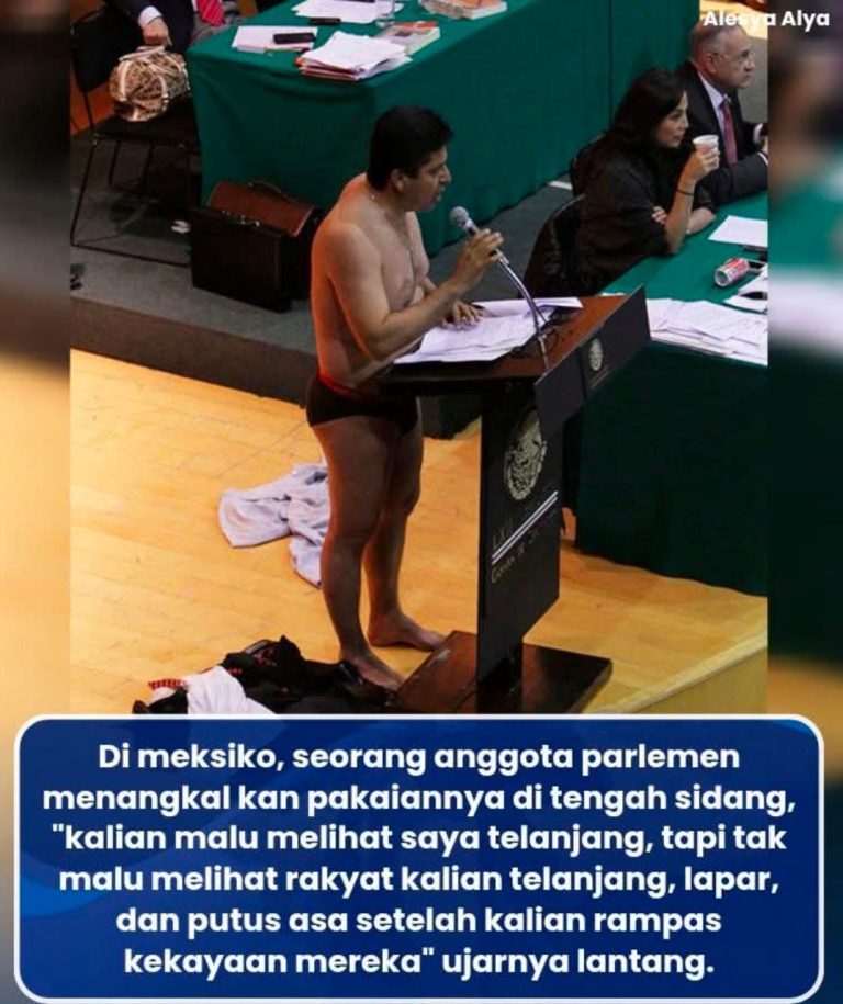 IMG-20251123-WA0019(1)