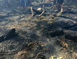 Akibat Pembakaran Hutan secara Liar Mengakibatkan Korban Lansia Tewas Terbakar.