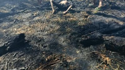Akibat Pembakaran Hutan secara Liar Mengakibatkan Korban Lansia Tewas Terbakar.