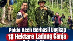 Komitmen Polda Aceh Perangi Narkoba, Gazali Ahmad Soroti Pemutusan Mata Rantai Produksi Ganja
