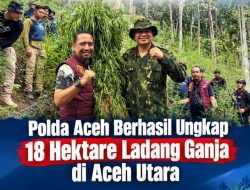 Komitmen Polda Aceh Perangi Narkoba, Gazali Ahmad Soroti Pemutusan Mata Rantai Produksi Ganja